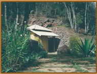 Fonte Perola - Habitat Orquideas