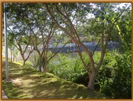 Parque Primeiro de Maio - Habitat Orquideas