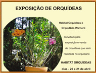 Exposicao de Orquideas Dezembro 2012