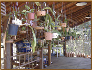 Projetos de Arquitetura - Habitat Orquideas