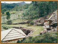 Fonte Perola - Habitat Orquideas