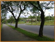 Parque Ipanema Ipatinga - Habitat Orquideas