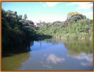 Parque Primeiro de Maio - Habitat Orquideas