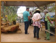 Exposicao de Orquideas Setembro 2012